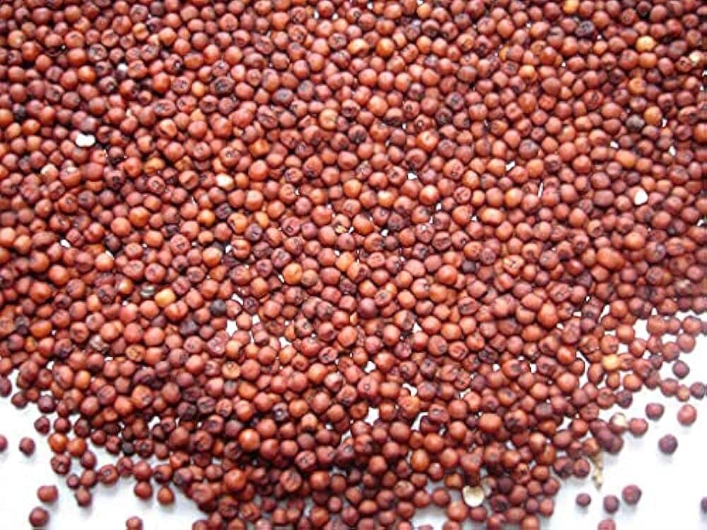 Finger Millet export product photo
