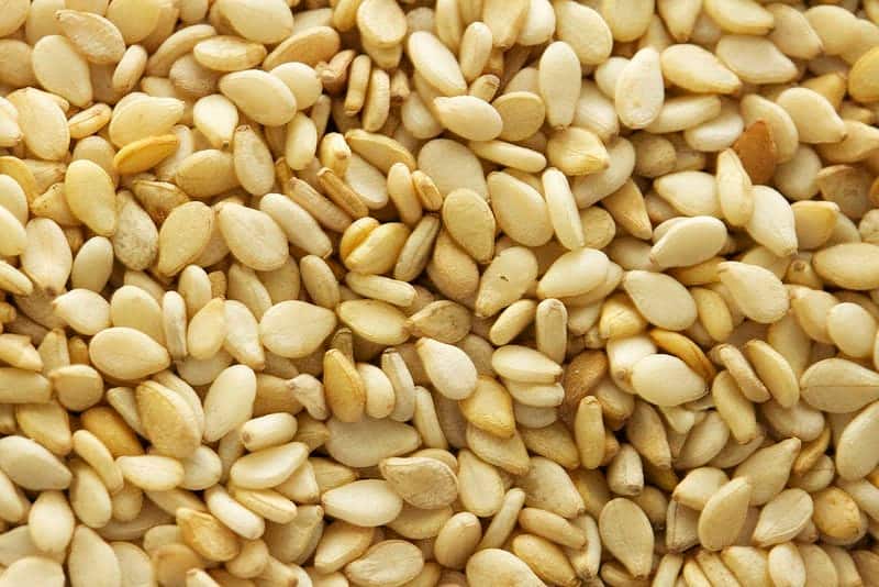 Sesame Seeds export product photo
