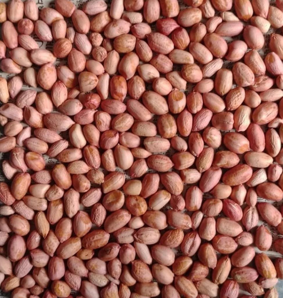 Groundnut Kernels product image