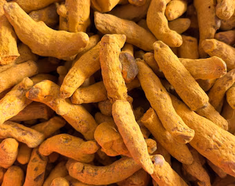Turmeric Fingers export product photo
